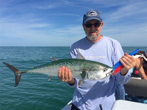 #Captiva Fishing, Tuesday, February 16, 2016: Better Fishing, Bonita - Captiva Fishing Report