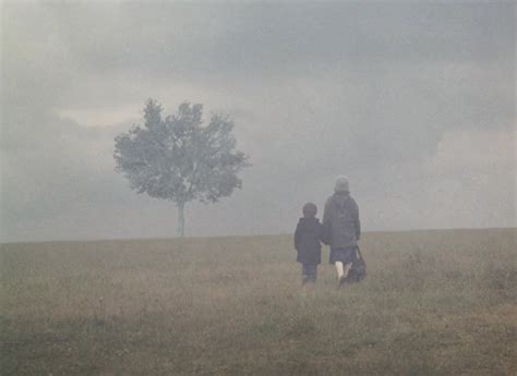 Landscape in the Mist (1988)