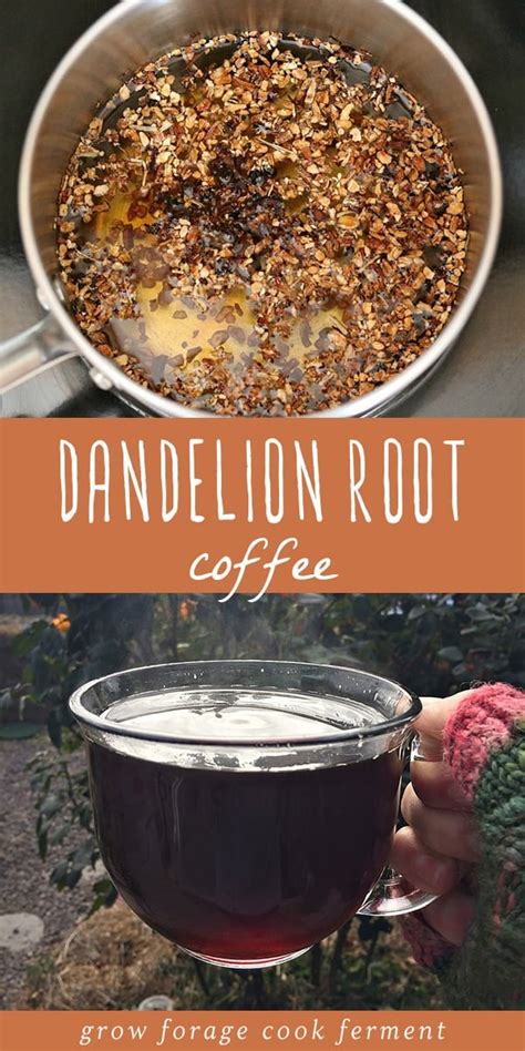 Roasted Dandelion Root Coffee with Chicory Root & Cinnamon