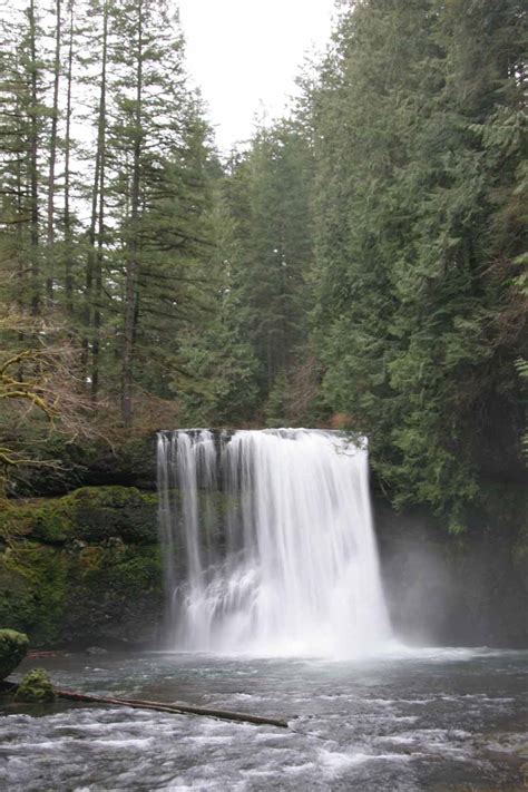 Silver Falls State Park Waterfalls Guide - World of Waterfalls