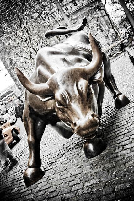 The bull, Wall Street @ New York City, USA | Bulls wallpaper, Bull ...