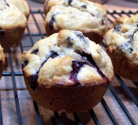 Diabetic Friendly Blueberry Muffins Recipe - Genius Kitchen