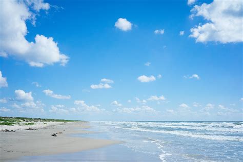 Padre Island National Seashore Reviews | U.S. News Travel