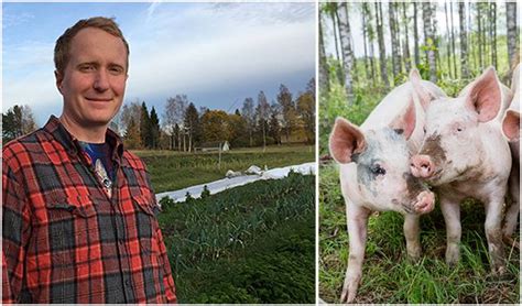 Inspiring: pig farmer turns vegan and now grows vegetables | The Bruges Vegan