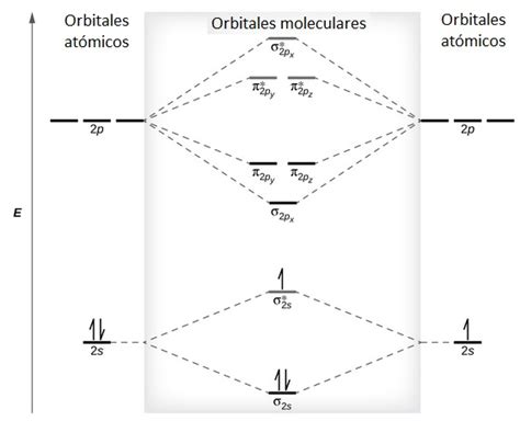 Top 93+ imagen modelo molecular del oxigeno - Abzlocal.mx