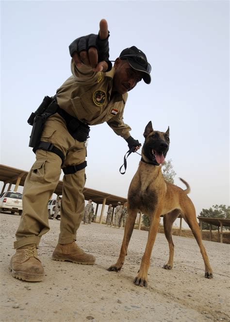 DVIDS - Images - K9 Training [Image 2 of 4]