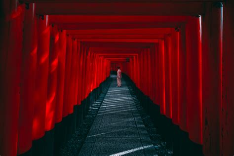 torii gates, kyoto, japan photo | One Big Photo