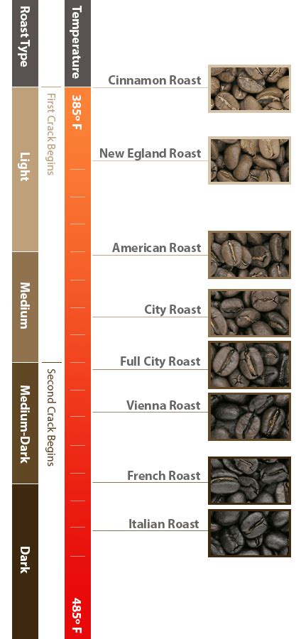 Coffee Roast Levels City - Coffee Roast Levels Why Is Roasting So Important Best Products House ...