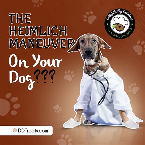 The Heimlich Maneuver On Your Dog?