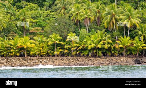 Seascape, Marino Ballena National Park, Pacific Ocean, Uvita de Osa ...