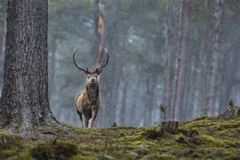 Autumn Loch Image Wins Scottish Nature Photography Awards 2017 | ePHOTOzine