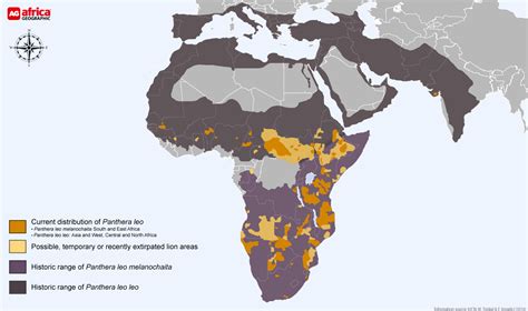 African Lion Habitat Map