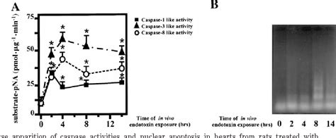 Figure 1 from Differential effects of caspase inhibitors on endotoxin ...