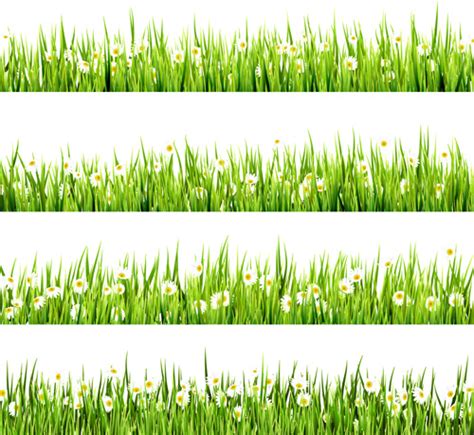 Vector flowers grass border free vector download (15,280 Free vector) for commercial use. format ...