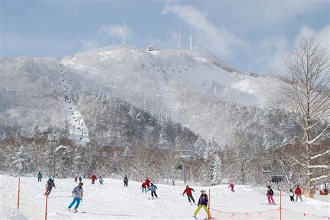 Vote for Sapporo Teine « Japan's Best Ski Resort 2020 « World Ski Awards