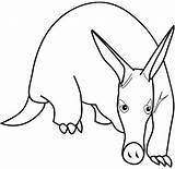 Print Out Animal Aardvark coloring Page For Kids sketch template