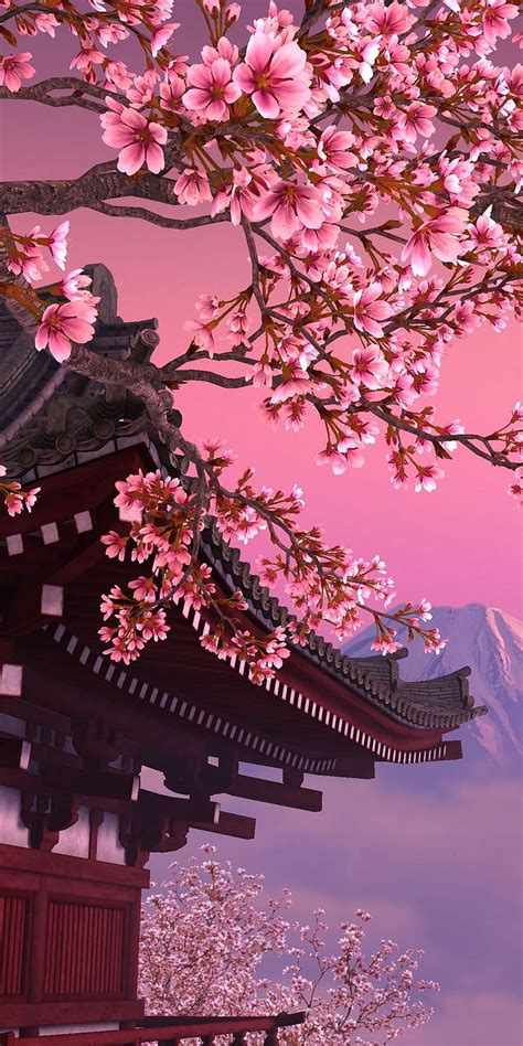 Update 89+ cherry blossom wallpaper anime super hot - in.coedo.com.vn