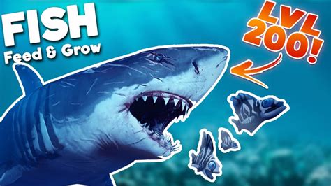 BIGGEST GREAT WHITE SHARK IN THE SEA! LEVEL 200 SHARK! | Feed And Grow Fish Gameplay - YouTube