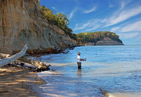 Calvert Cliffs State Park - Maryland