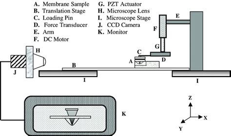 The schematic view of the system used for the load-displacement... | Download Scientific Diagram