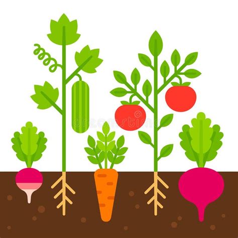 Photo about Vegetable garden, simple flat cartoon vector illustration ...