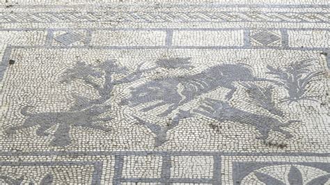 Dog mosaic in Pompeii stock image. Image of foundation - 8257055