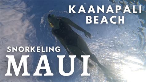 Snorkeling at Kaanapali Beach in MAUI - YouTube