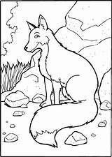Fox Coloring Page  Home sketch template