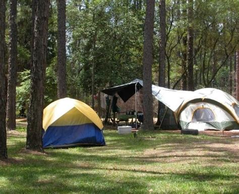 Blackwater River State Park Camping | Visit Pensacola