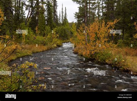 Sarek National Park Stock Photo - Alamy