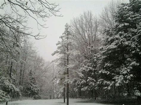 Missouri winter | Ozarks, Missouri, Winter wonderland