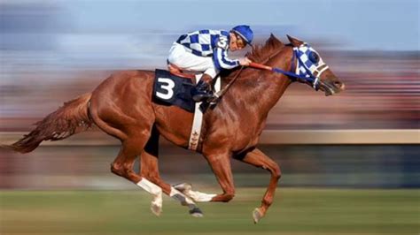 SECRETARIAT | TRIPLE CORONA - YouTube