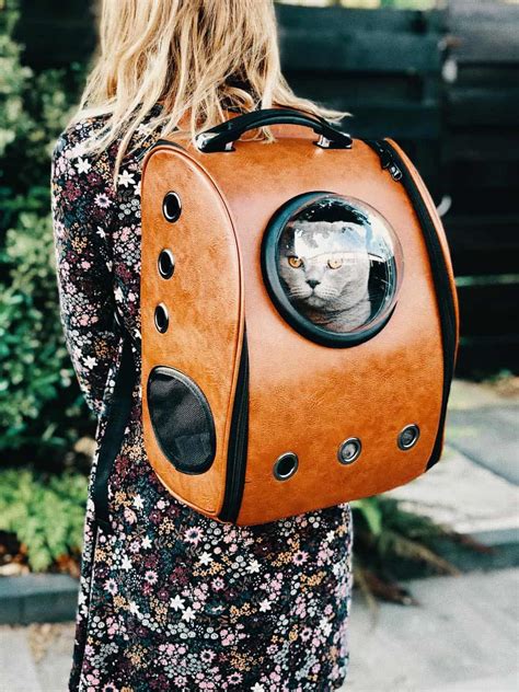 The 15 Best Cat Backpacks for Carrying Kitties 2025 • Escape Monthly