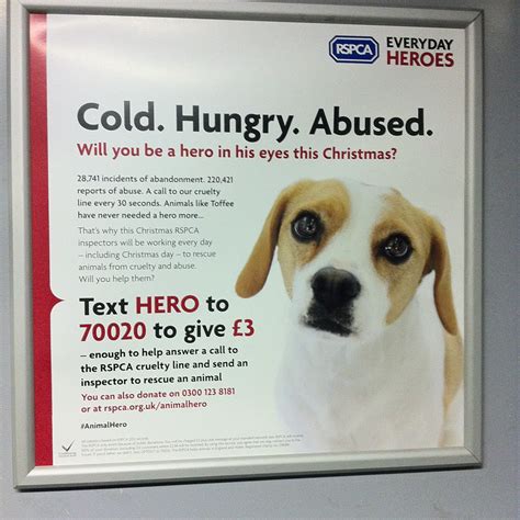 RSPCA SMS train advert | Cold. Hungry, Abused. | Flickr