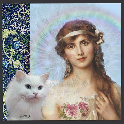 The Rainbow | ....plus Beauty and her cat... Love June and A… | Flickr