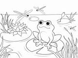 Pond Clipart Cliparts Library Clip Coloring Sketch Page sketch template