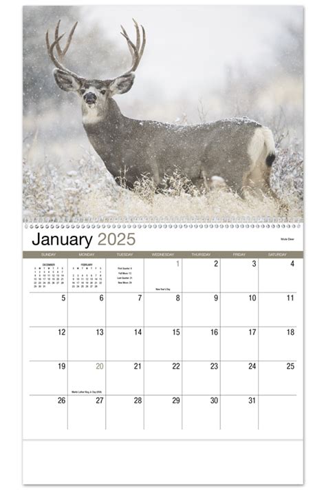 Wyoming Wildlife Calendar 2024 - Lila Shelba