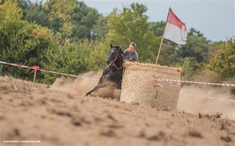 Quarter Mile Race - Easy Ranch | HORSE & ENDURANCE Photography