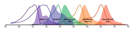 Alexa Fluorescent Antibody Colors