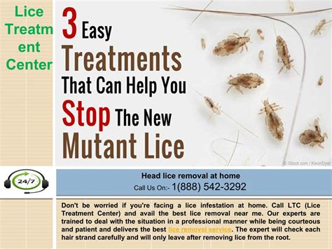 PPT - Lice Removal near me by Certified Lice treatment center ...