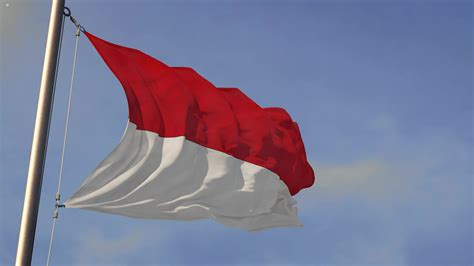 Indonesian flag 3d loop animation 8656076 Stock Video at Vecteezy