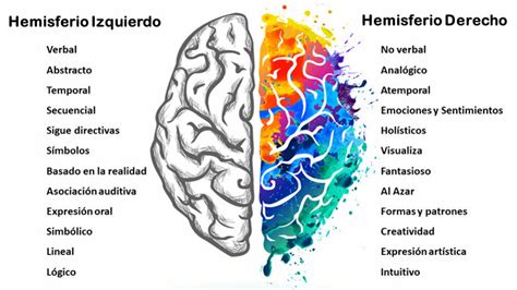 Hemisferios cerebrales: neuronas espejo y empatía