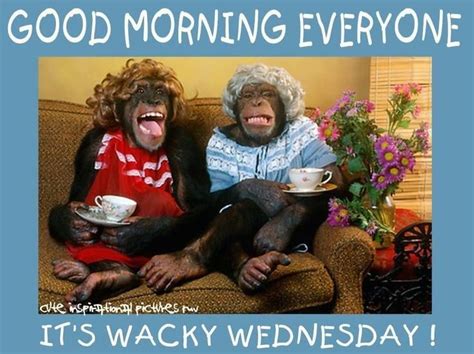 Good Morning Everyone, Its Wacky Wednesday Pictures, Photos, and Images for Facebook, Tumblr ...