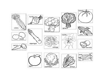 Parts of a Plant We Eat by Kindergarten Kreative | TpT