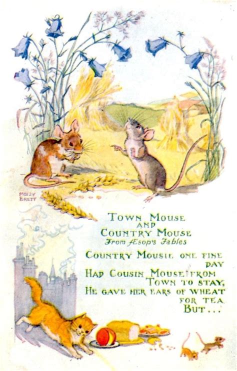 Town Mouse and Country Mouse | Mouse illustration, Children's book illustration, Book illustration