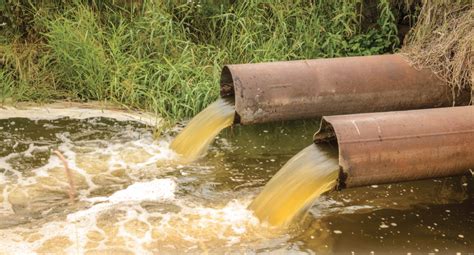 Bad water to the rescue? - National Nut Grower