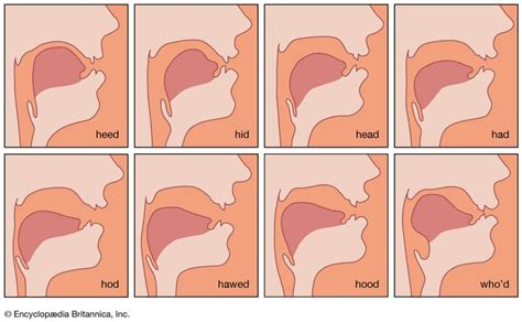 o | History, Etymology, & Pronunciation | Britannica