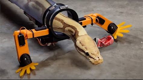 Nightmare fuel alert: Giving a snake a set of robot legs - Boing Boing