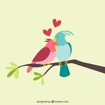 Free Vector | Couple of birds