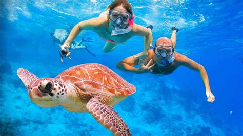 Paradise Island Snorkeling Trip Full Day from El Gouna - El Gouna Tours